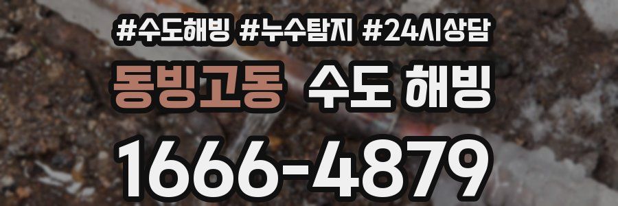 동빙고동 수도 해빙