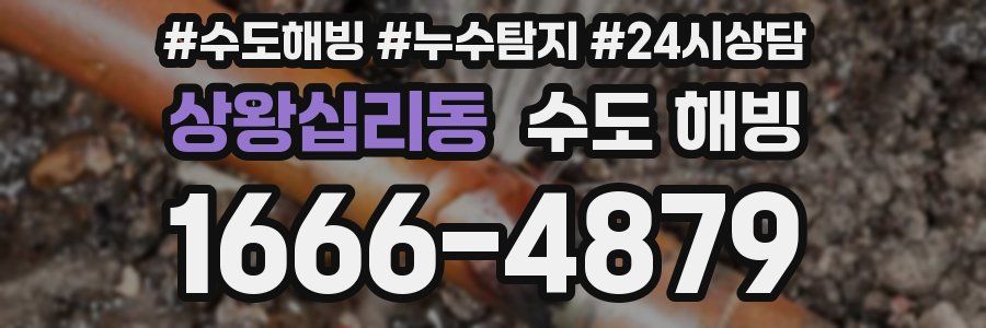 상왕십리동 수도 해빙