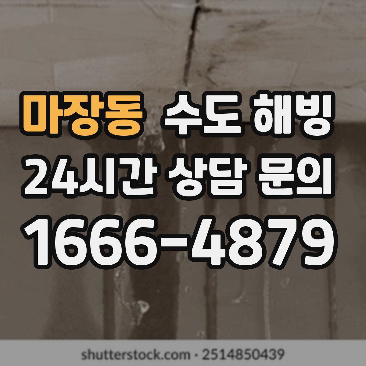 마장동 수도 해빙