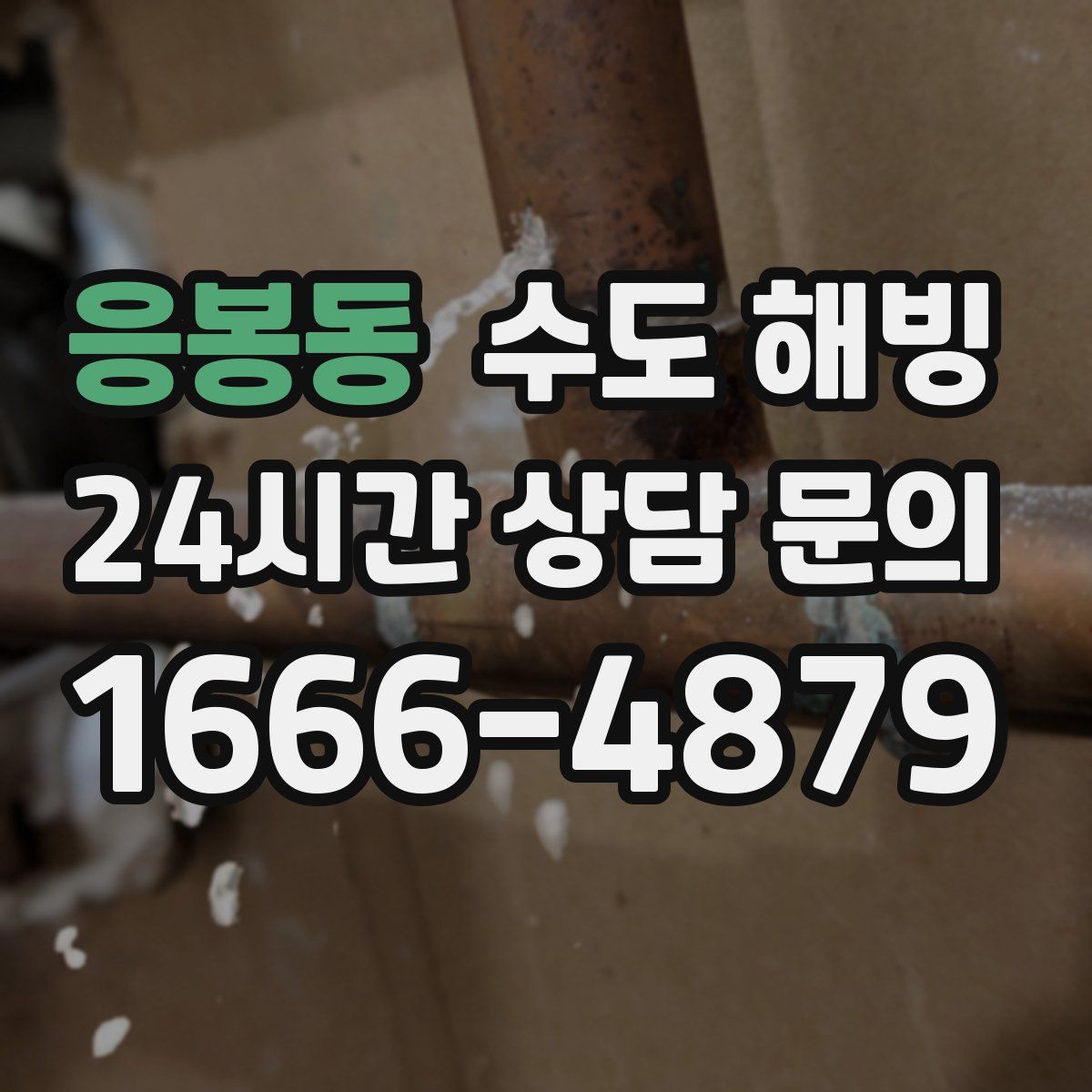 응봉동 수도 해빙