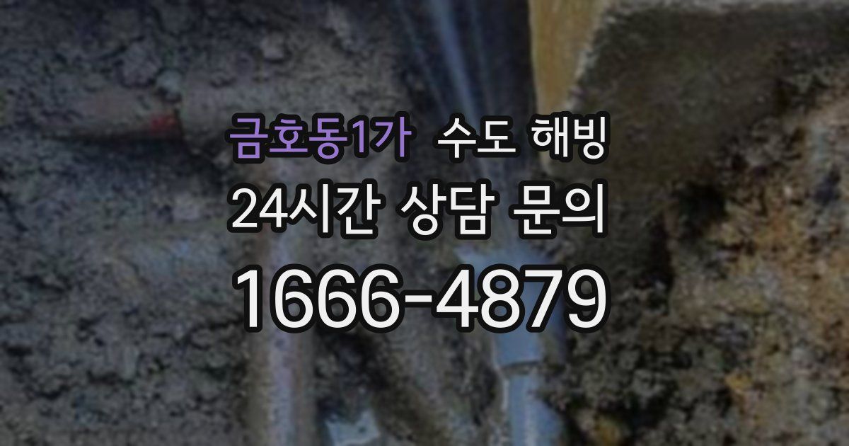 금호동1가 수도 해빙