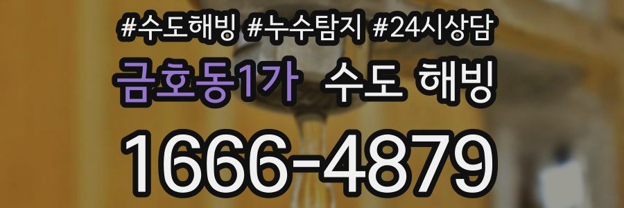 금호동1가 수도 해빙