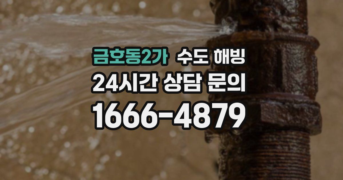 금호동2가 수도 해빙