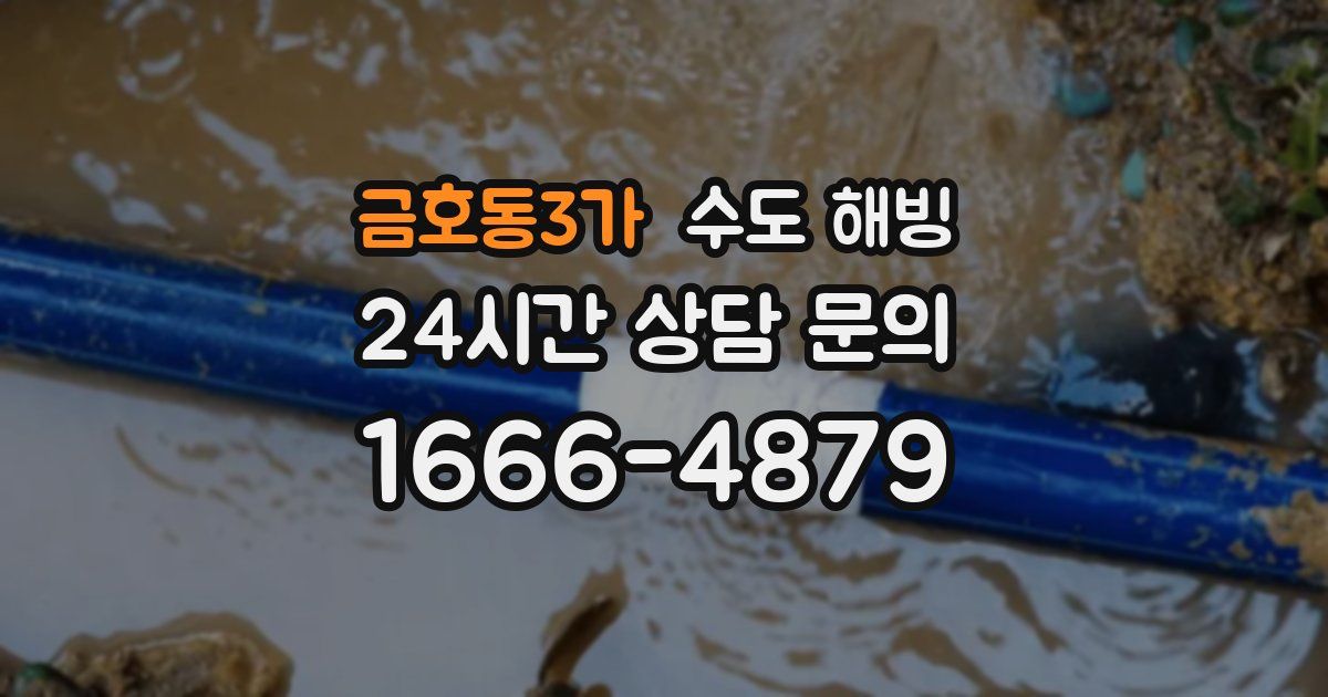 금호동3가 수도 해빙