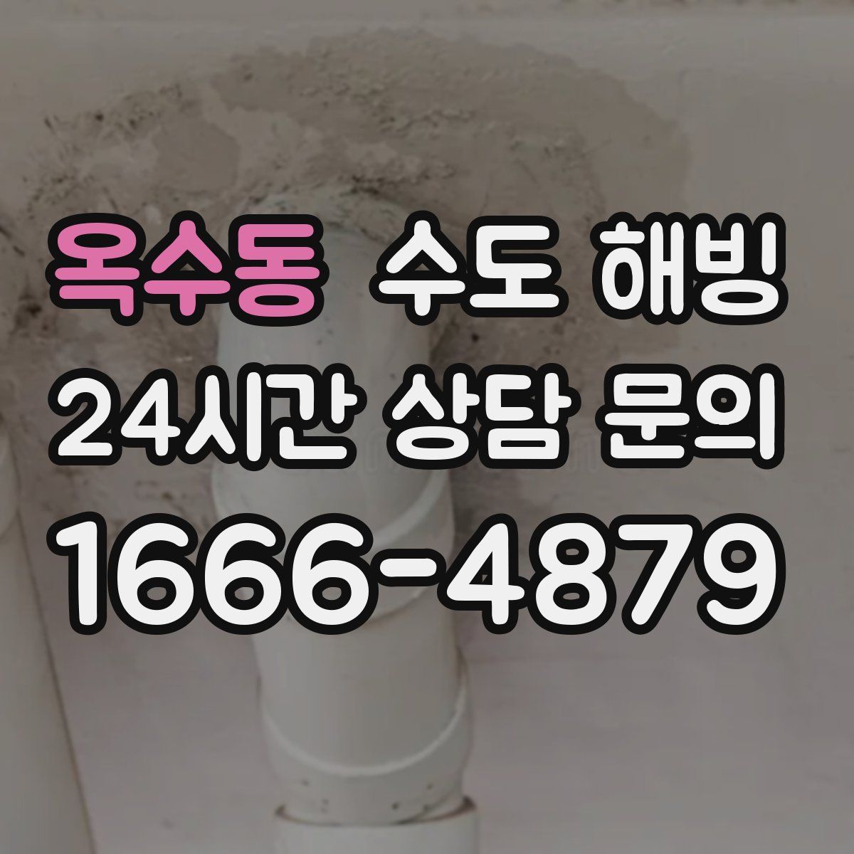 옥수동 수도 해빙