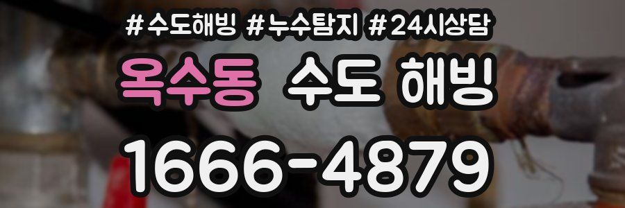 옥수동 수도 해빙