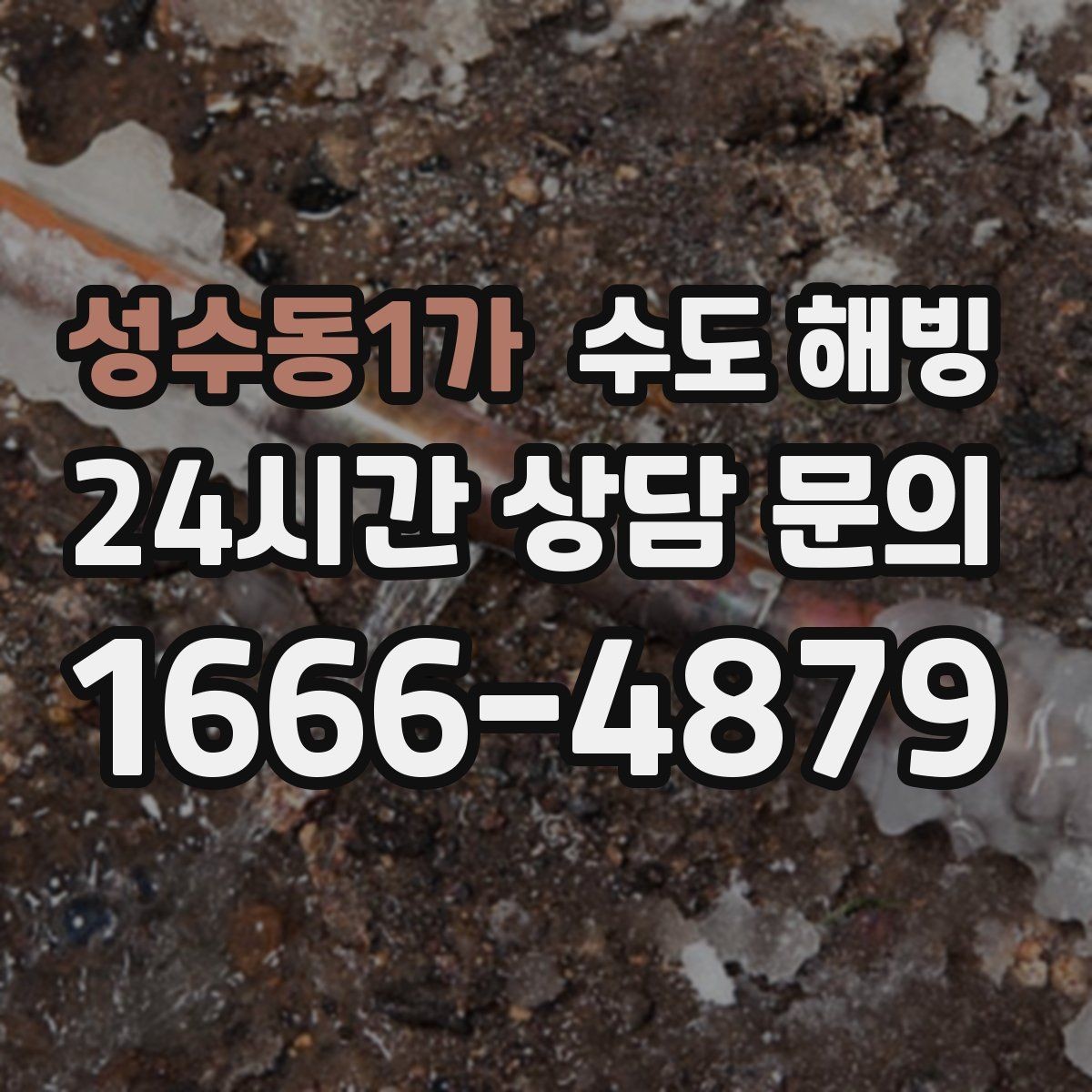 성수동1가 수도 해빙 두 곳 이상 동시에 얼었을 때 확인 순서