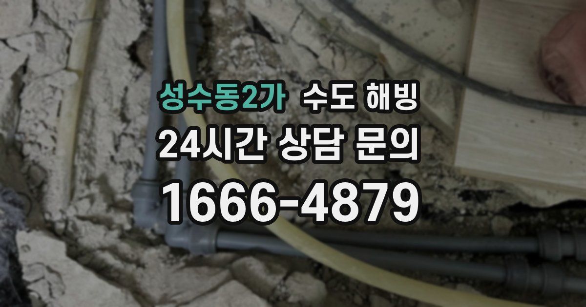 성수동2가 수도 해빙