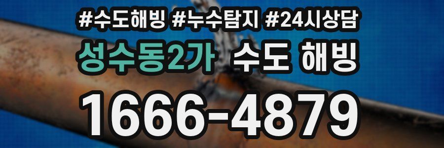 성수동2가 수도 해빙