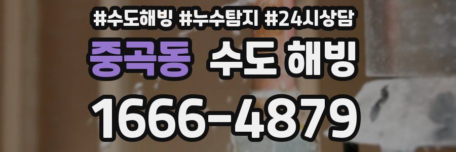 중곡동 수도 해빙