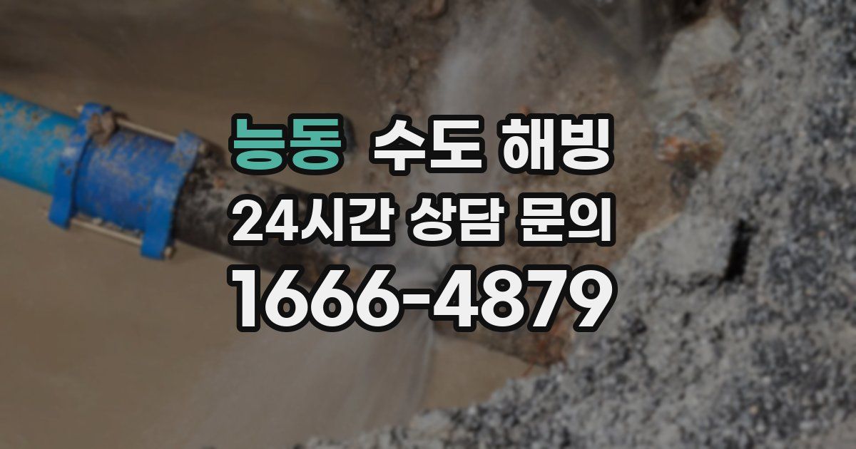 능동 수도 해빙