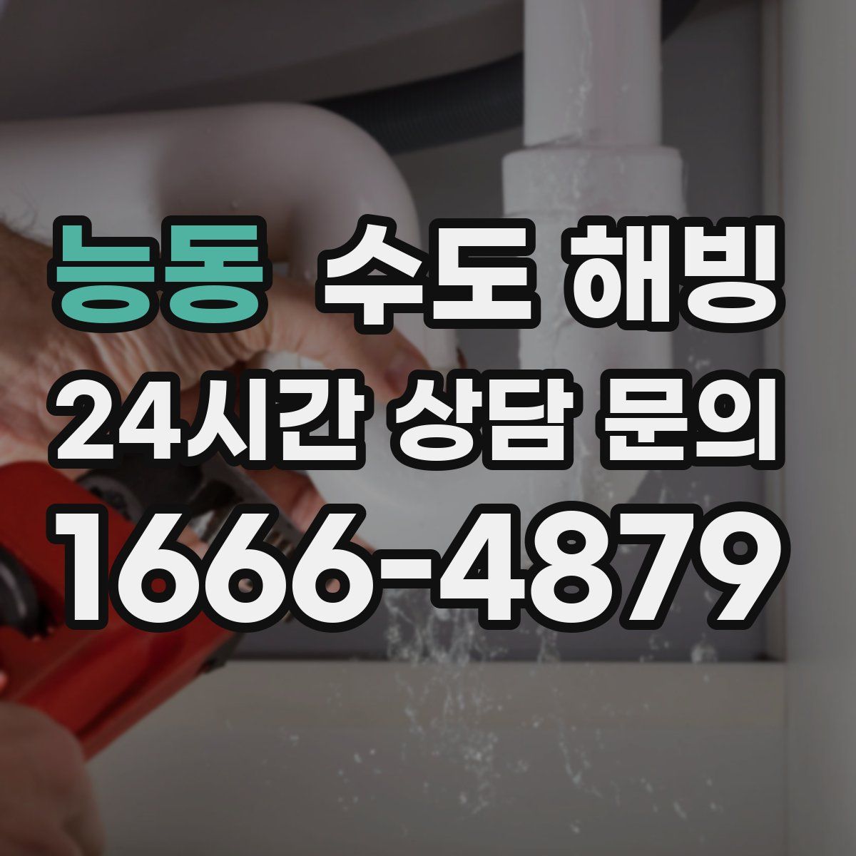 능동 수도 해빙