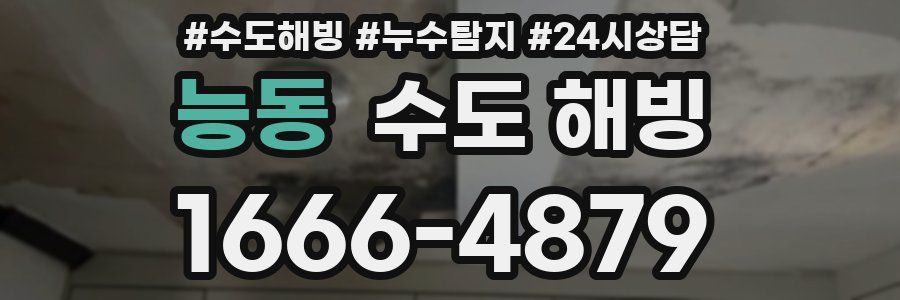 능동 수도 해빙