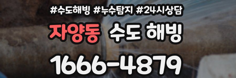 자양동 수도 해빙