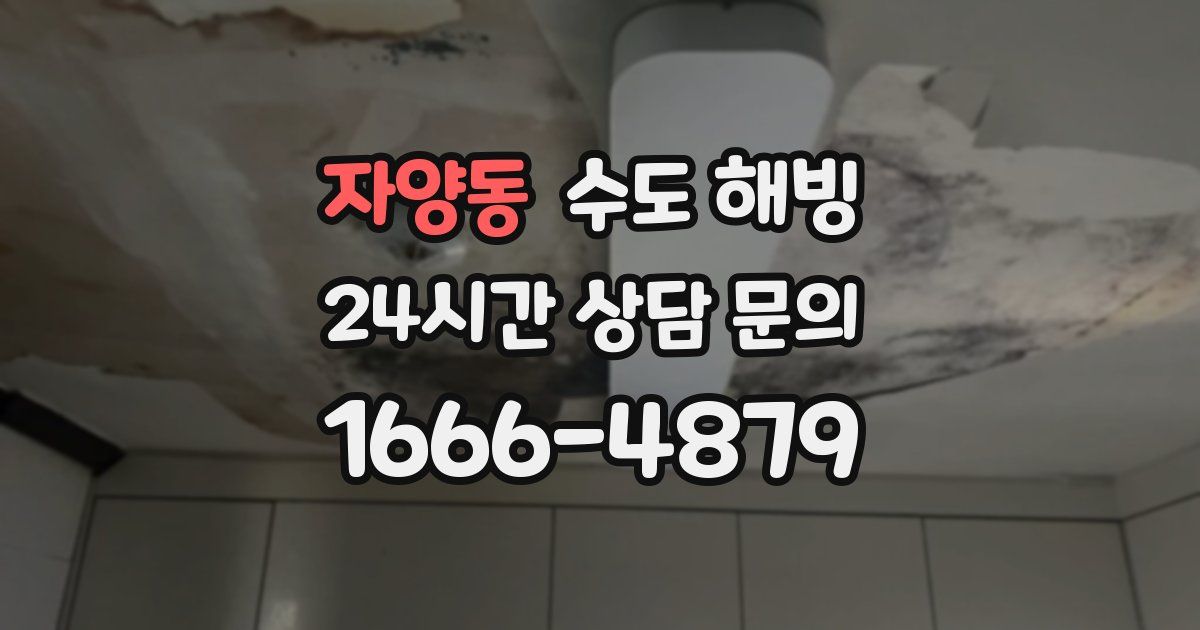 자양동 수도 해빙