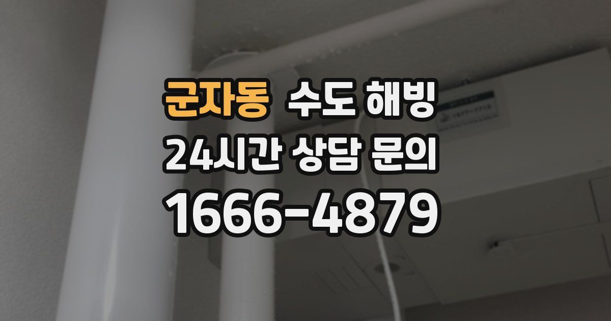 군자동 수도 해빙