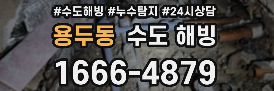 용두동 수도 해빙