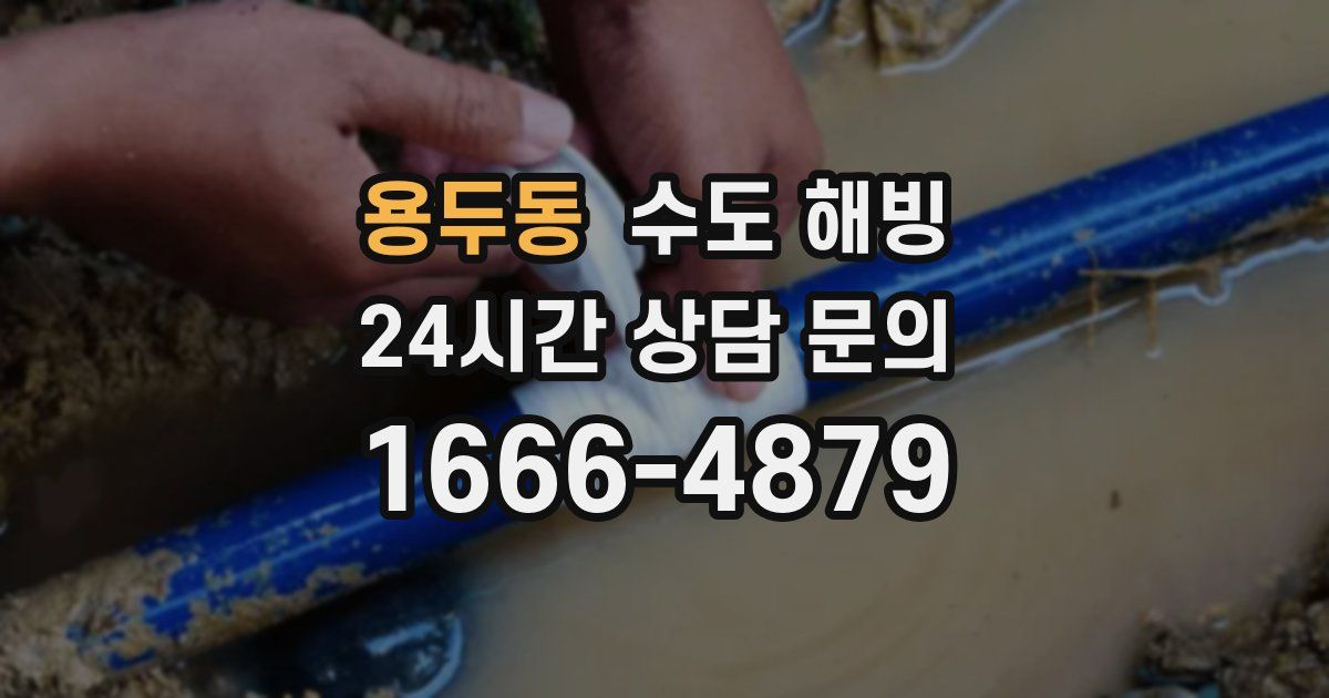 용두동 수도 해빙