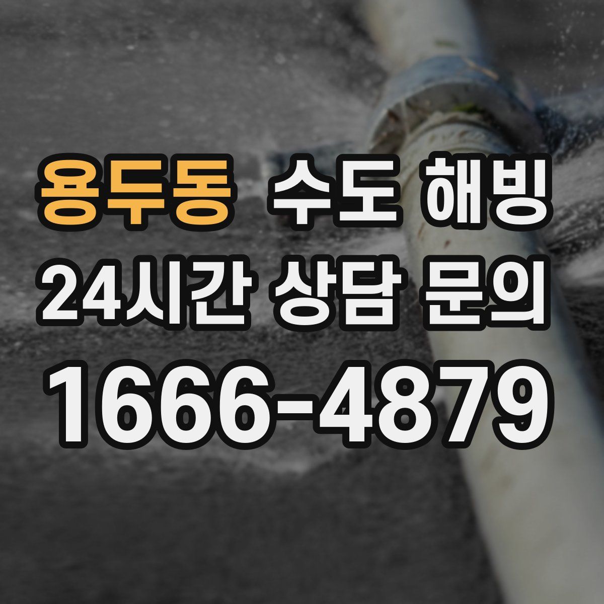 용두동 수도 해빙