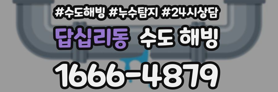 답십리동 수도 해빙