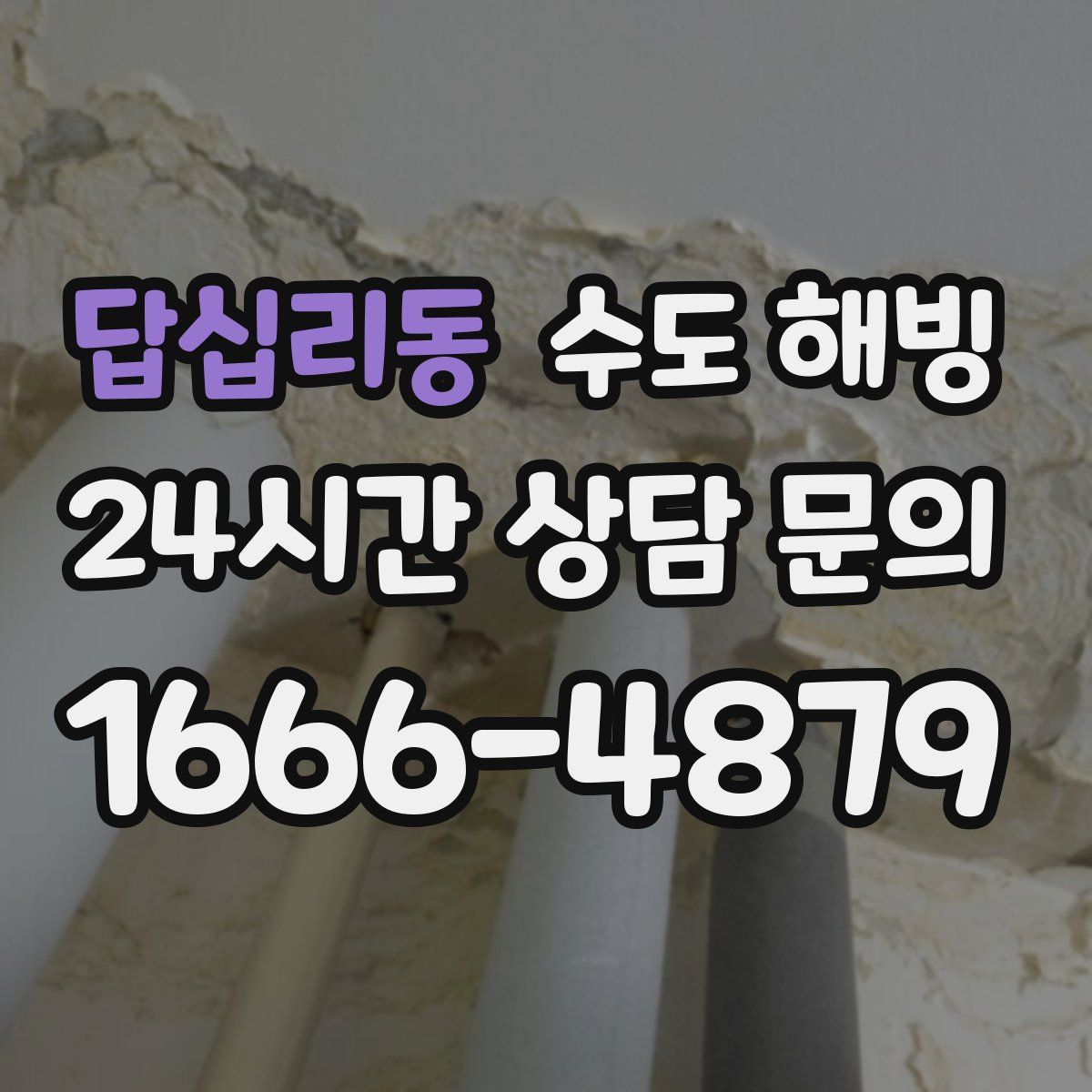 답십리동 수도 해빙