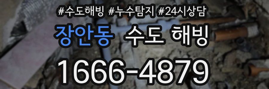 장안동 수도 해빙