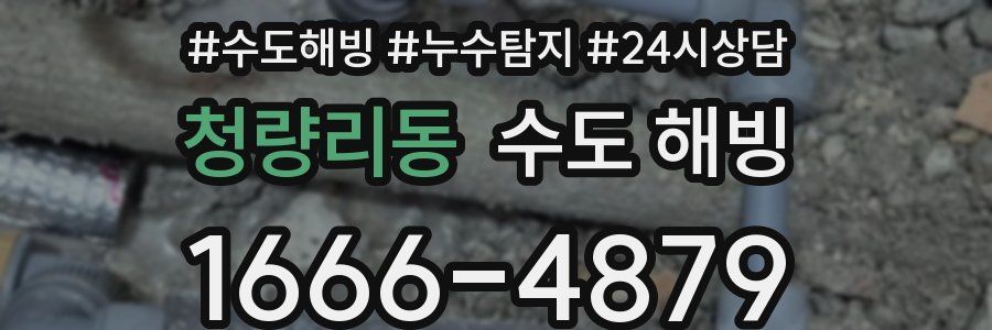 청량리동 수도 해빙