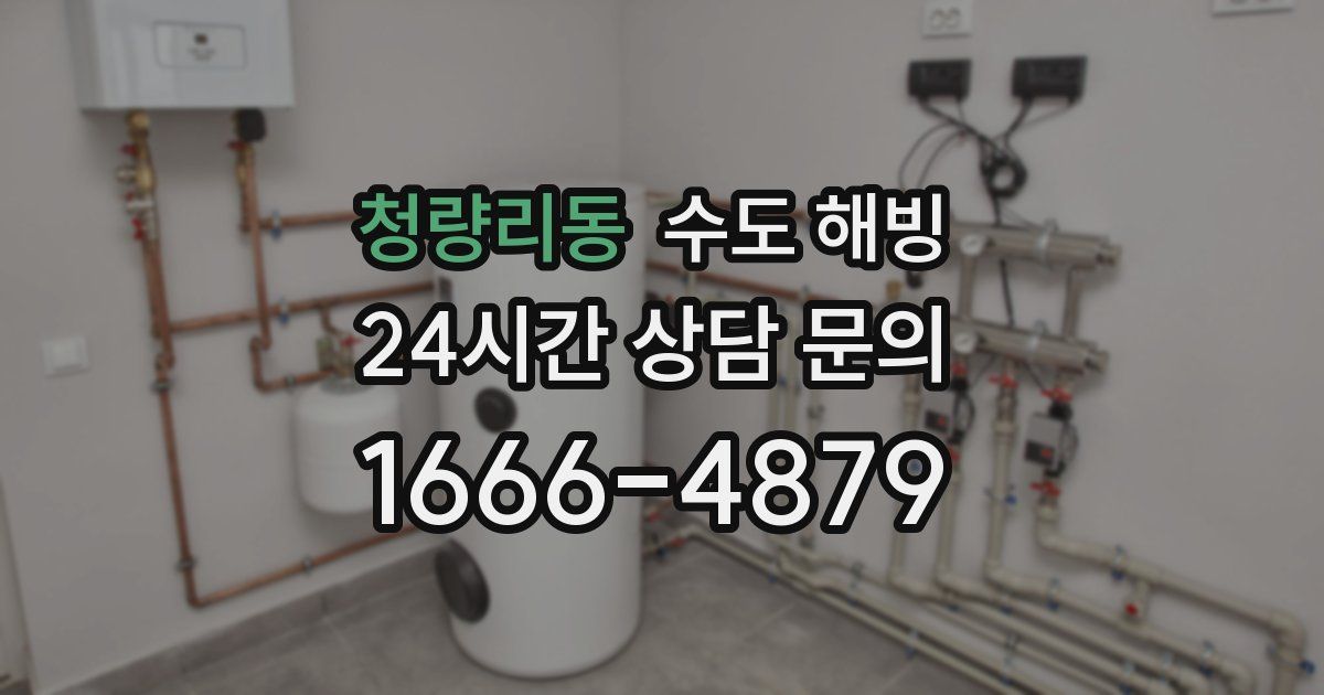 청량리동 수도 해빙