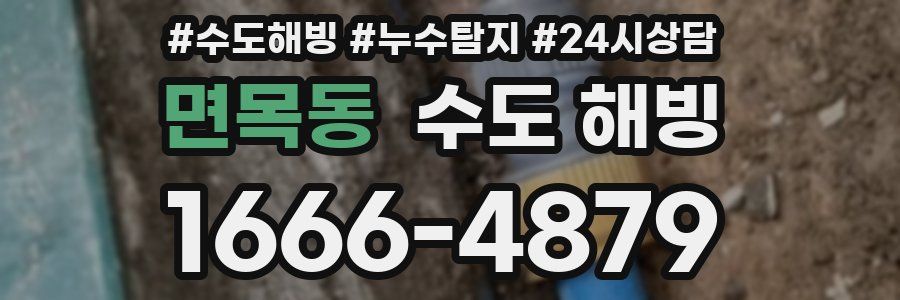 면목동 수도 해빙