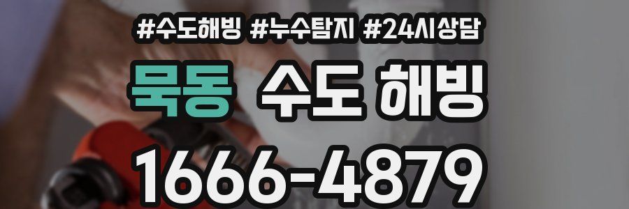 묵동 수도 해빙