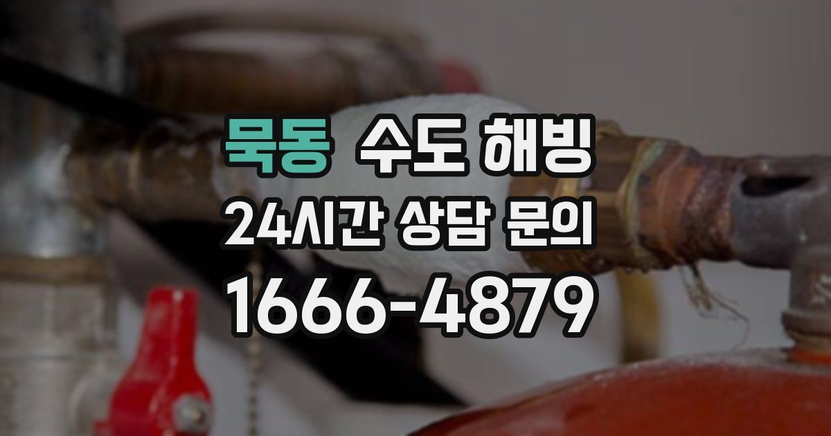 묵동 수도 해빙