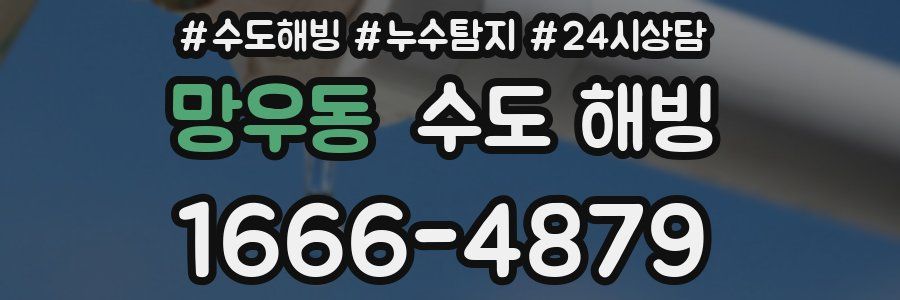 망우동 수도 해빙