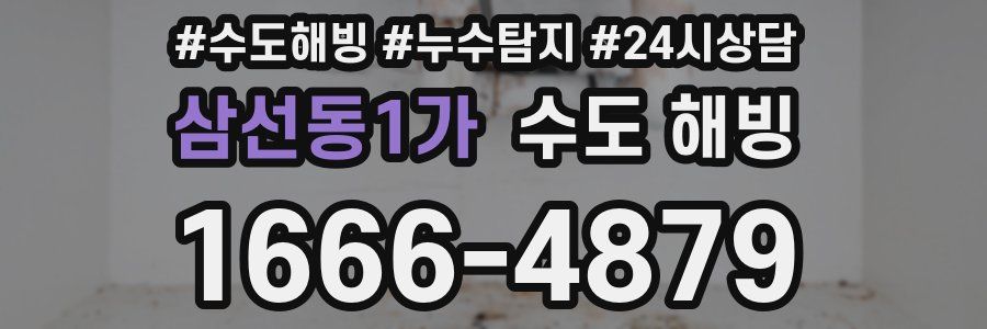 삼선동1가 수도 해빙