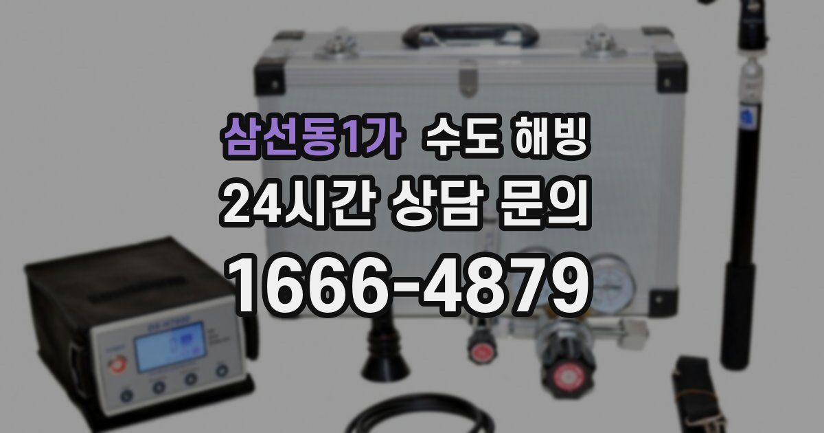 삼선동1가 수도 해빙