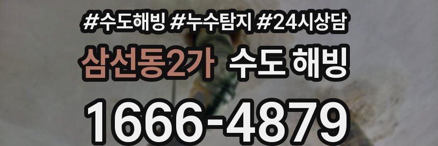 삼선동2가 수도 해빙