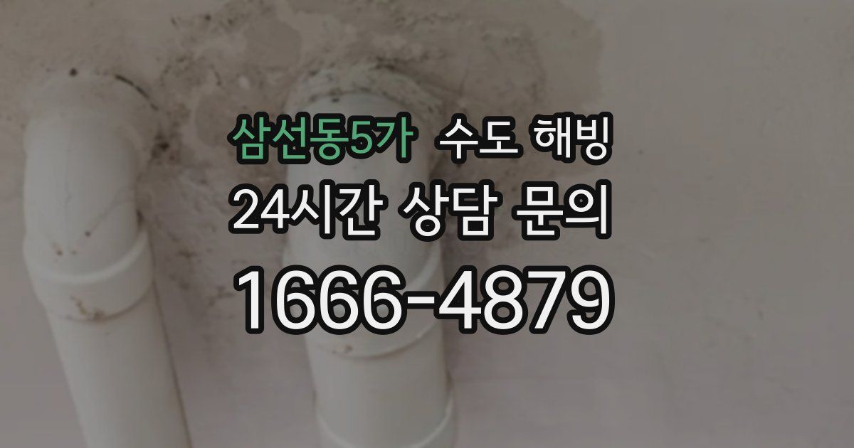 삼선동5가 수도 해빙