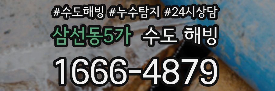 삼선동5가 수도 해빙