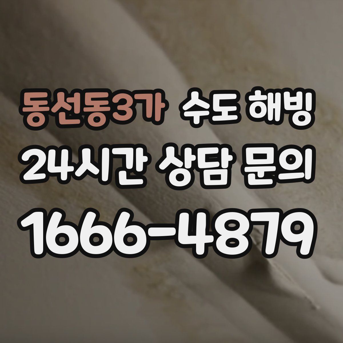 동선동3가 수도 해빙