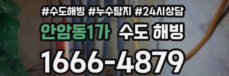 안암동1가 수도 해빙