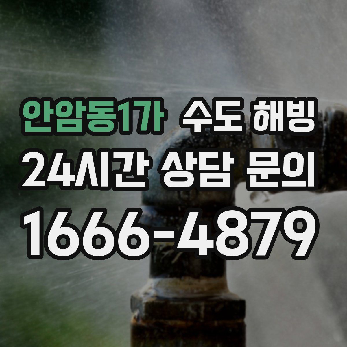 안암동1가 수도 해빙