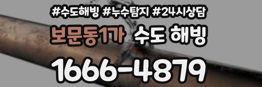 보문동1가 수도 해빙