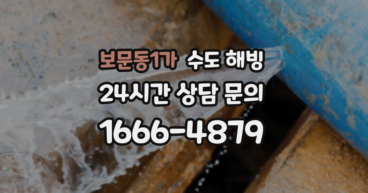 보문동1가 수도 해빙