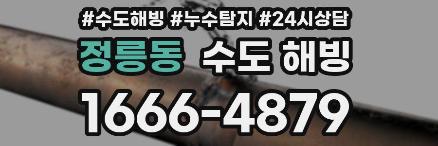 정릉동 수도 해빙