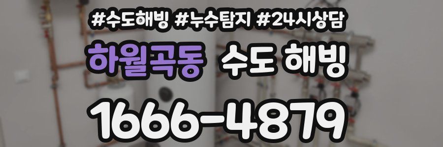 하월곡동 수도 해빙