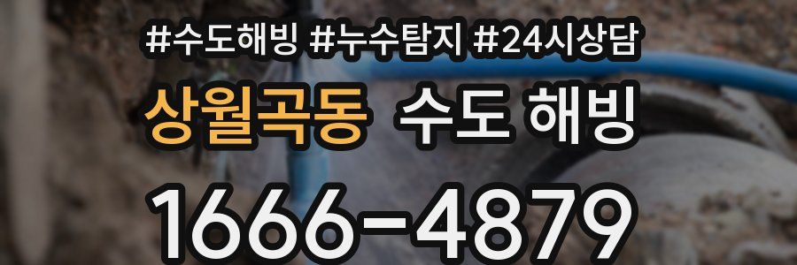 상월곡동 수도 해빙