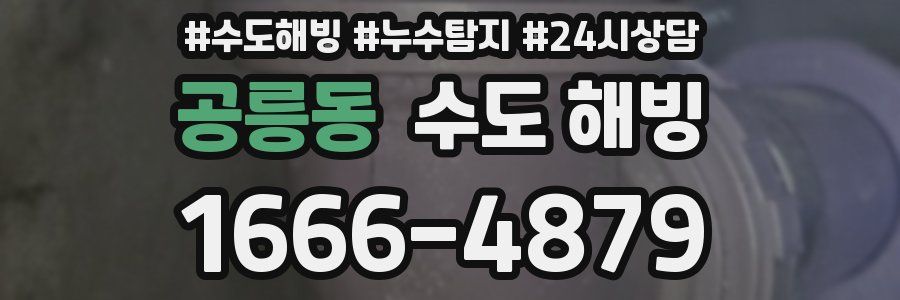 공릉동 수도 해빙