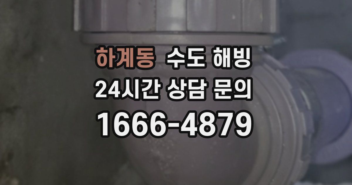 하계동 수도 해빙