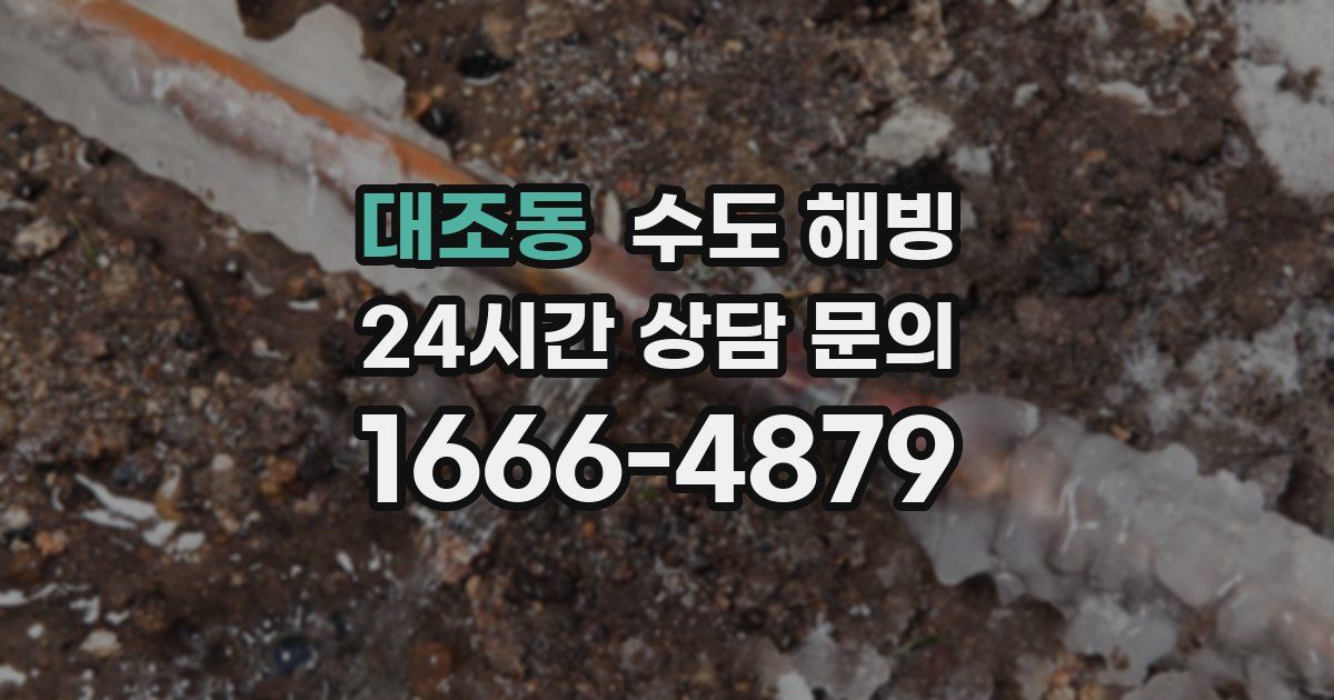 대조동 수도 해빙
