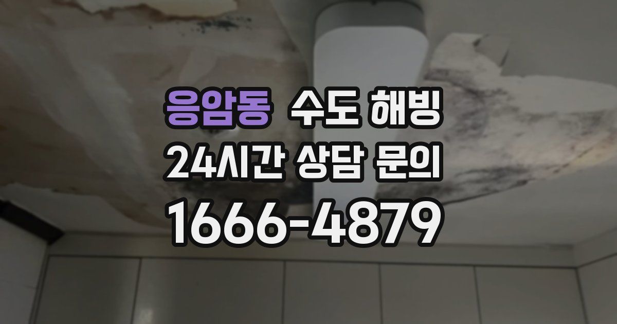 응암동 수도 해빙