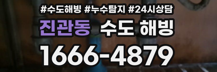 진관동 수도 해빙